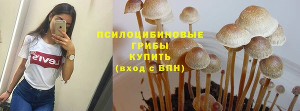 мяу мяу мука Богданович