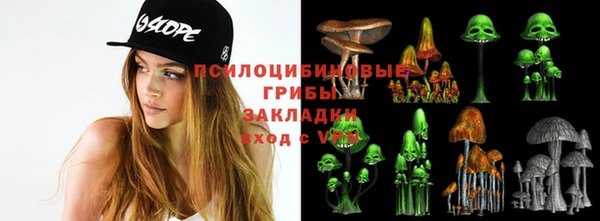 мяу мяу мука Богданович