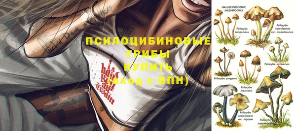 мяу мяу мука Богданович