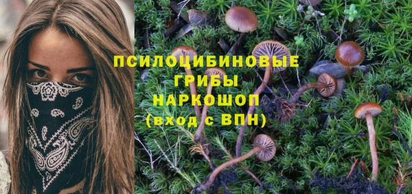 альфа пвп Богородицк